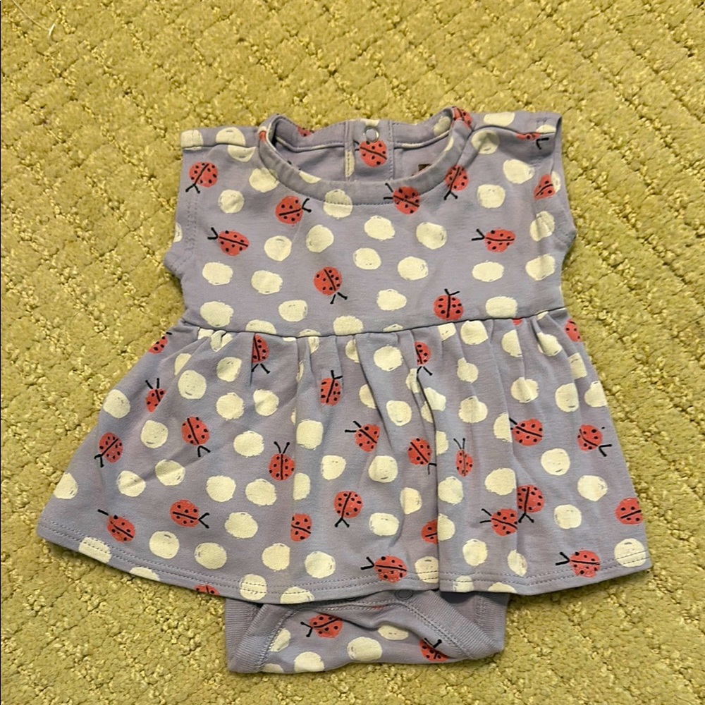 Tea Collection Purple and Red Ladybug Baby Dress